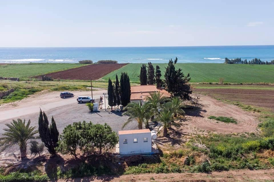 House in Mandria - view 1