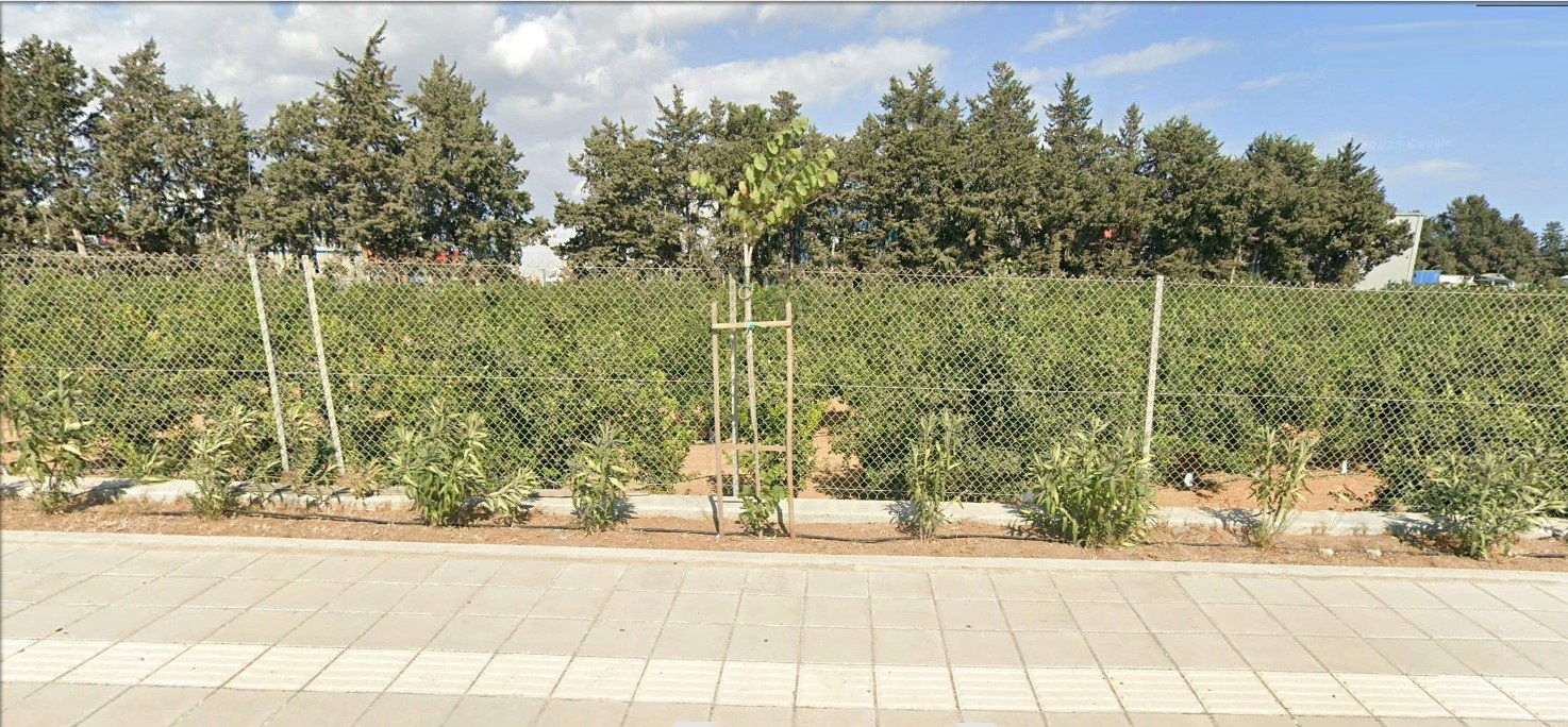 (Industrial) in Polemidia (Kato), Limassol for sale